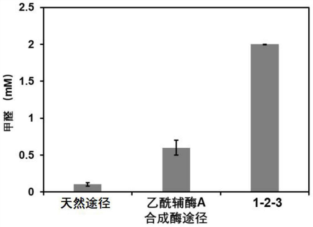 Biosynthesis method from formic acid to formaldehyde and/or methanol