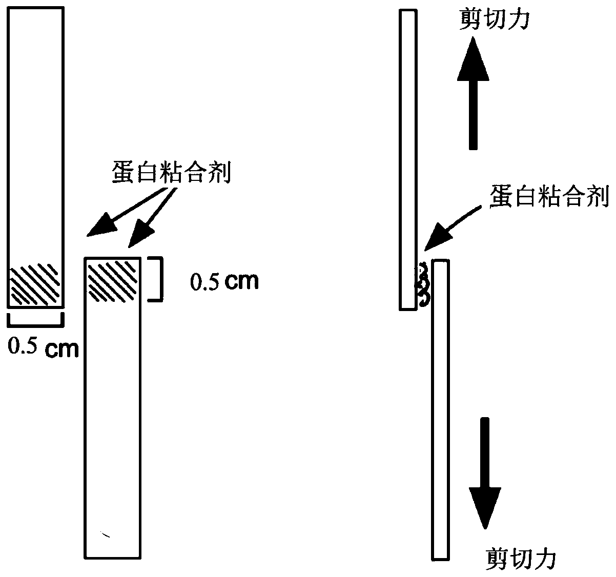 High-strength rare-earth protein adhesive and preparation method thereof