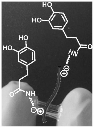 High-strength rare-earth protein adhesive and preparation method thereof