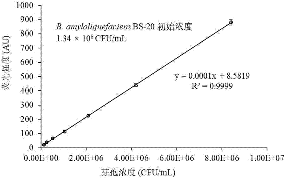 Method for rapidly optimizing metal ions to promote bacillus to produce spores by response surface method