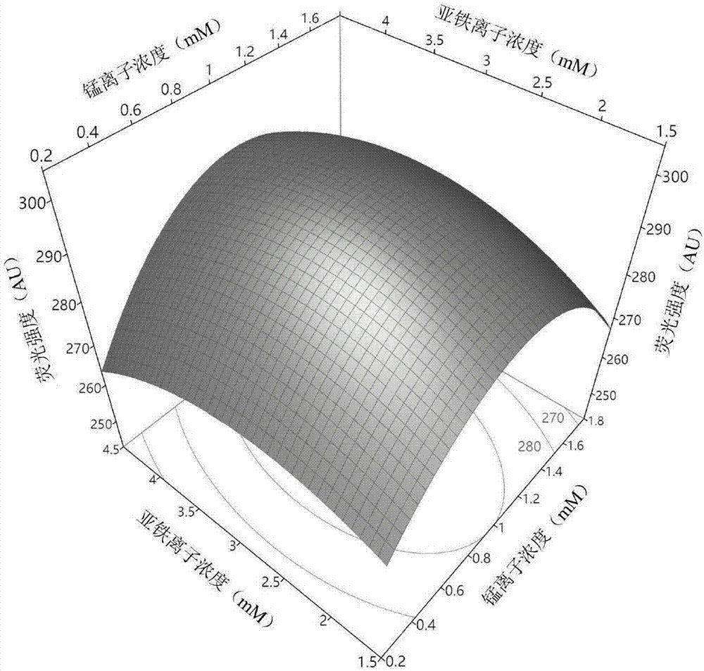 Method for rapidly optimizing metal ions to promote bacillus to produce spores by response surface method