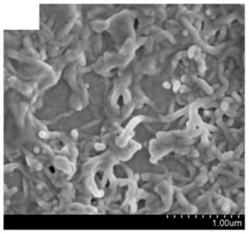 Preparation method of high-dielectric-performance polymer-based composite microporous material