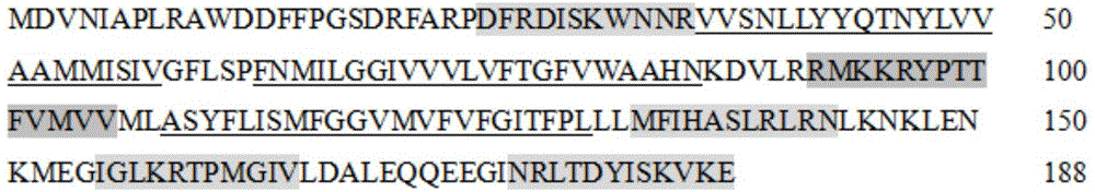 Anti-tumor activity polypeptide and application thereof