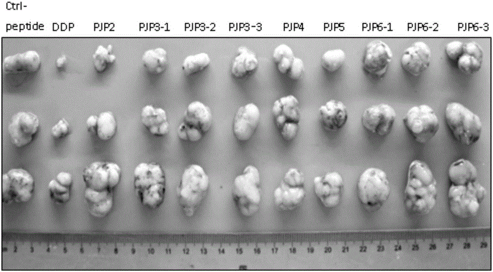 Anti-tumor activity polypeptide and application thereof