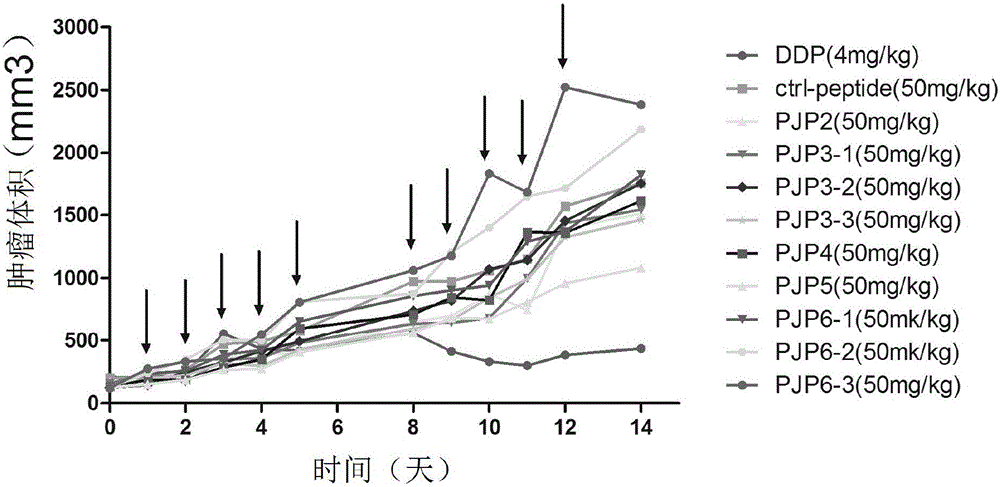 Anti-tumor activity polypeptide and application thereof