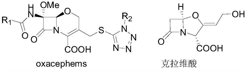 Preparation method for N, O-disubstituted ketimine derivative