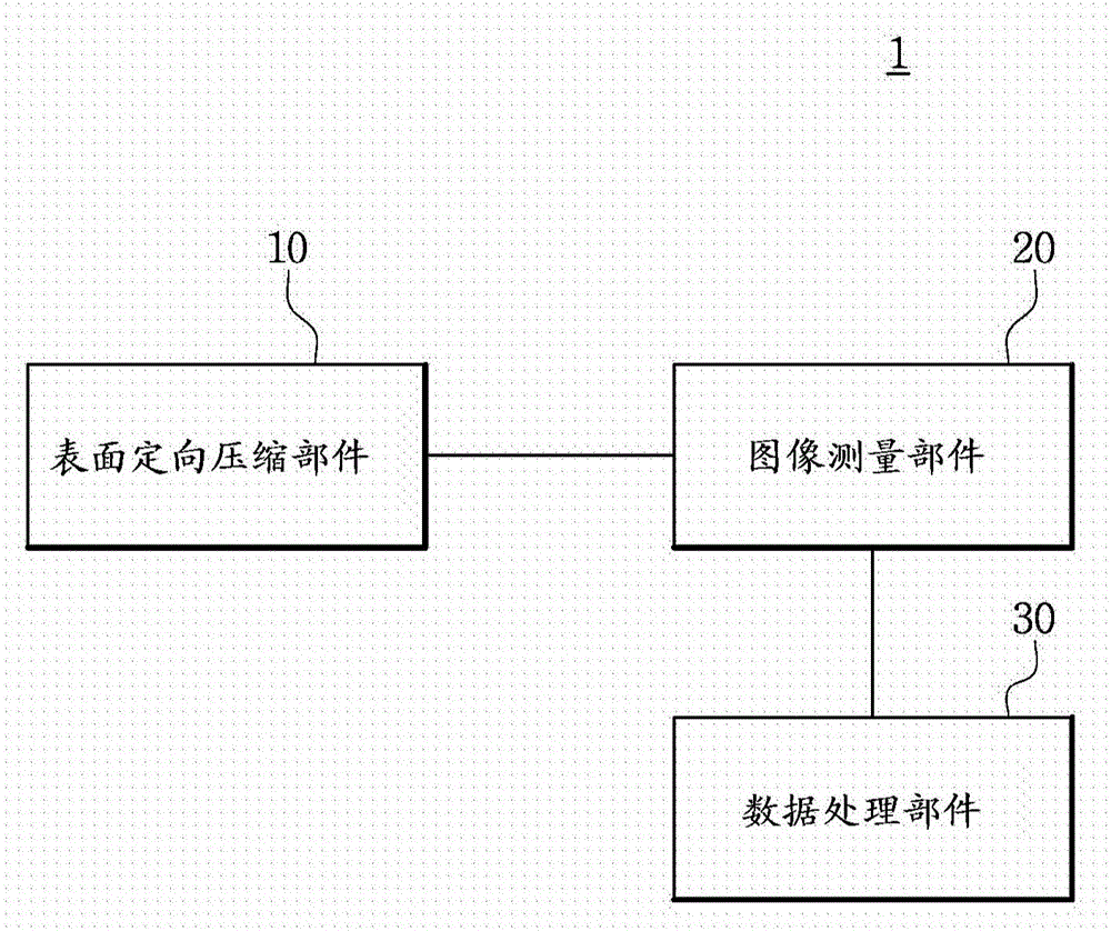 Wrinkle measurement apparatus and wrinkle measurement method