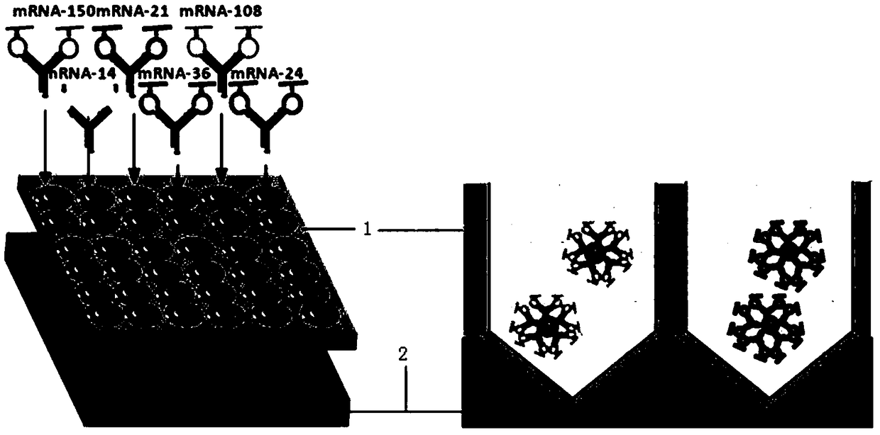 Kit of peripheral blood free-nucleotide miRNAs-based ultrasensitive detection device and detection method of kit