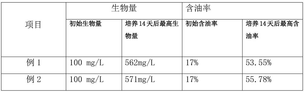 Method for enhancing microalgae carbon sequestration and oil production by using diethanol amine