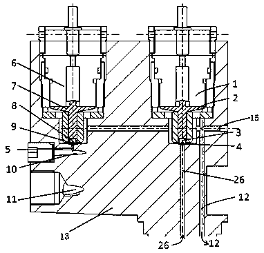 Natural gas and diesel injector of novel control mode