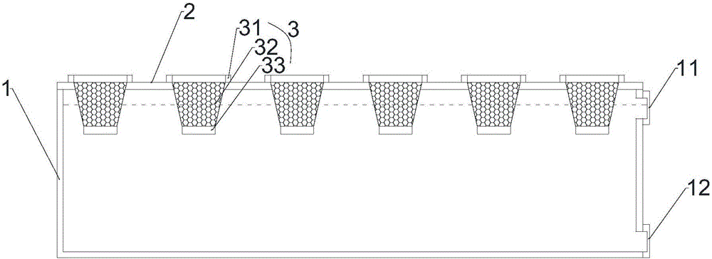 Water planting implantation method without disease and pest applying to spinach