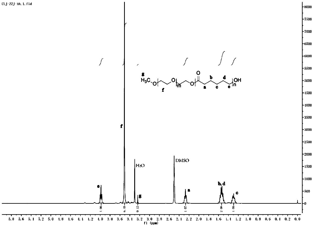 Polymer micelle carrying coenzyme Q10 series compounds, and preparation method and purpose of polymer micelle