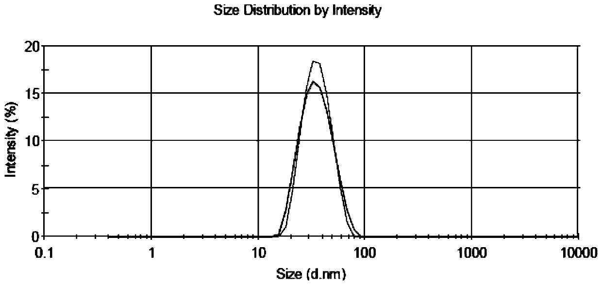 Polymer micelle carrying coenzyme Q10 series compounds, and preparation method and purpose of polymer micelle