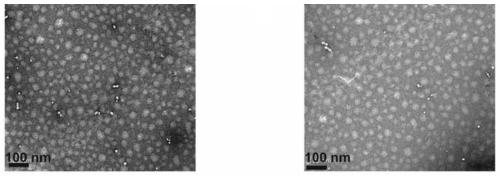 Polymer micelle carrying coenzyme Q10 series compounds, and preparation method and purpose of polymer micelle