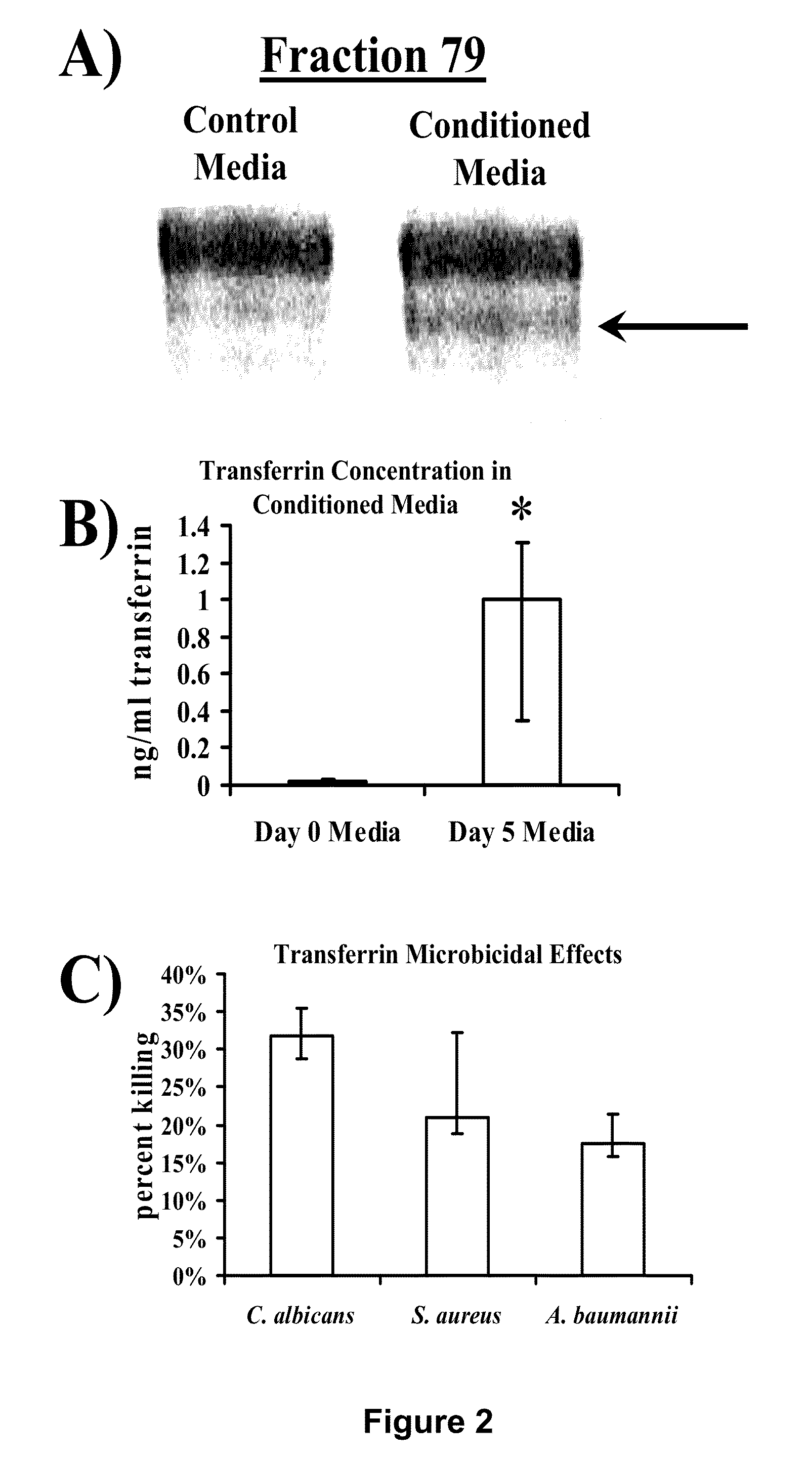 Methods and compositions for treatment of multidrug-resistant bacterial and fungal infections