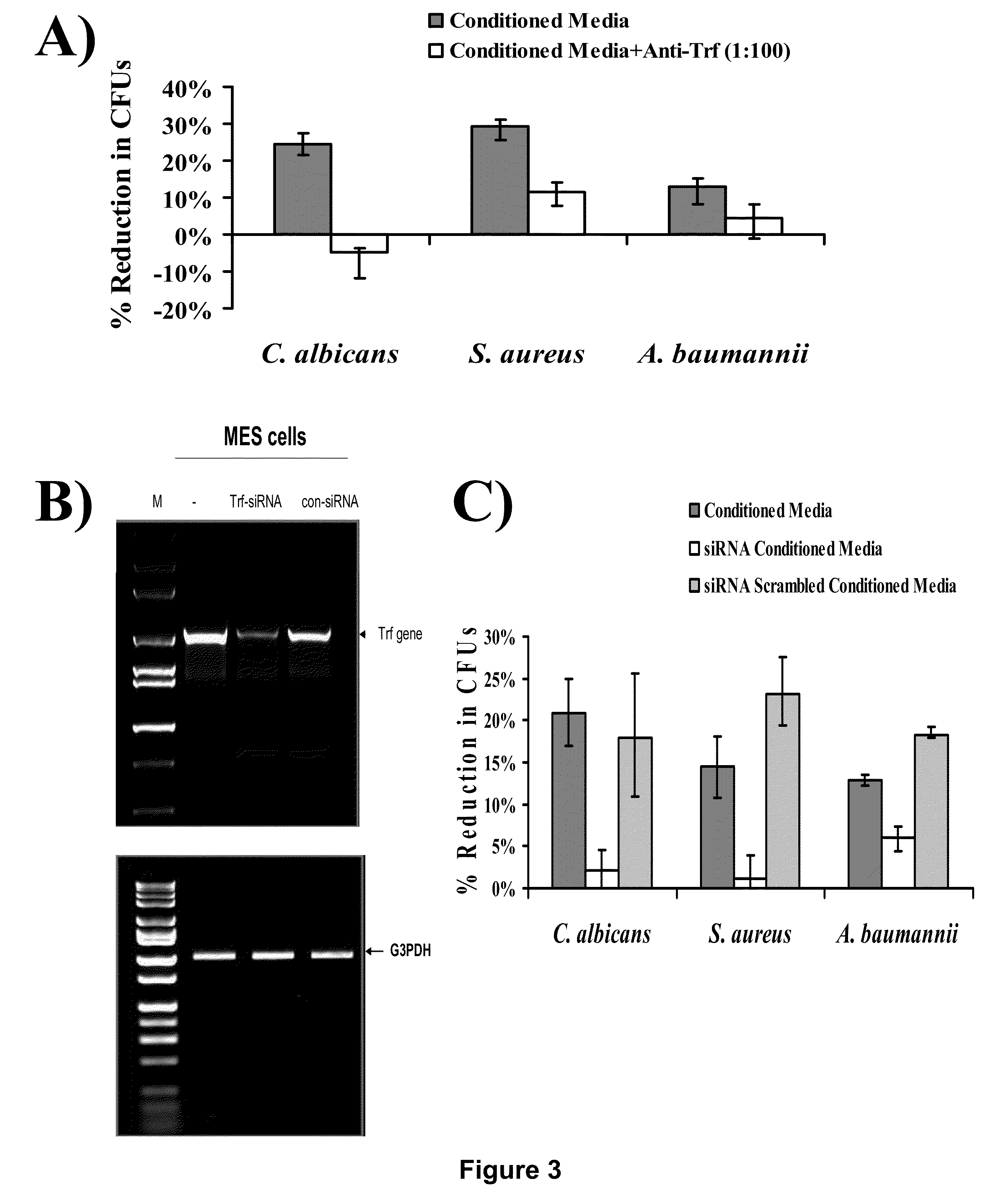 Methods and compositions for treatment of multidrug-resistant bacterial and fungal infections