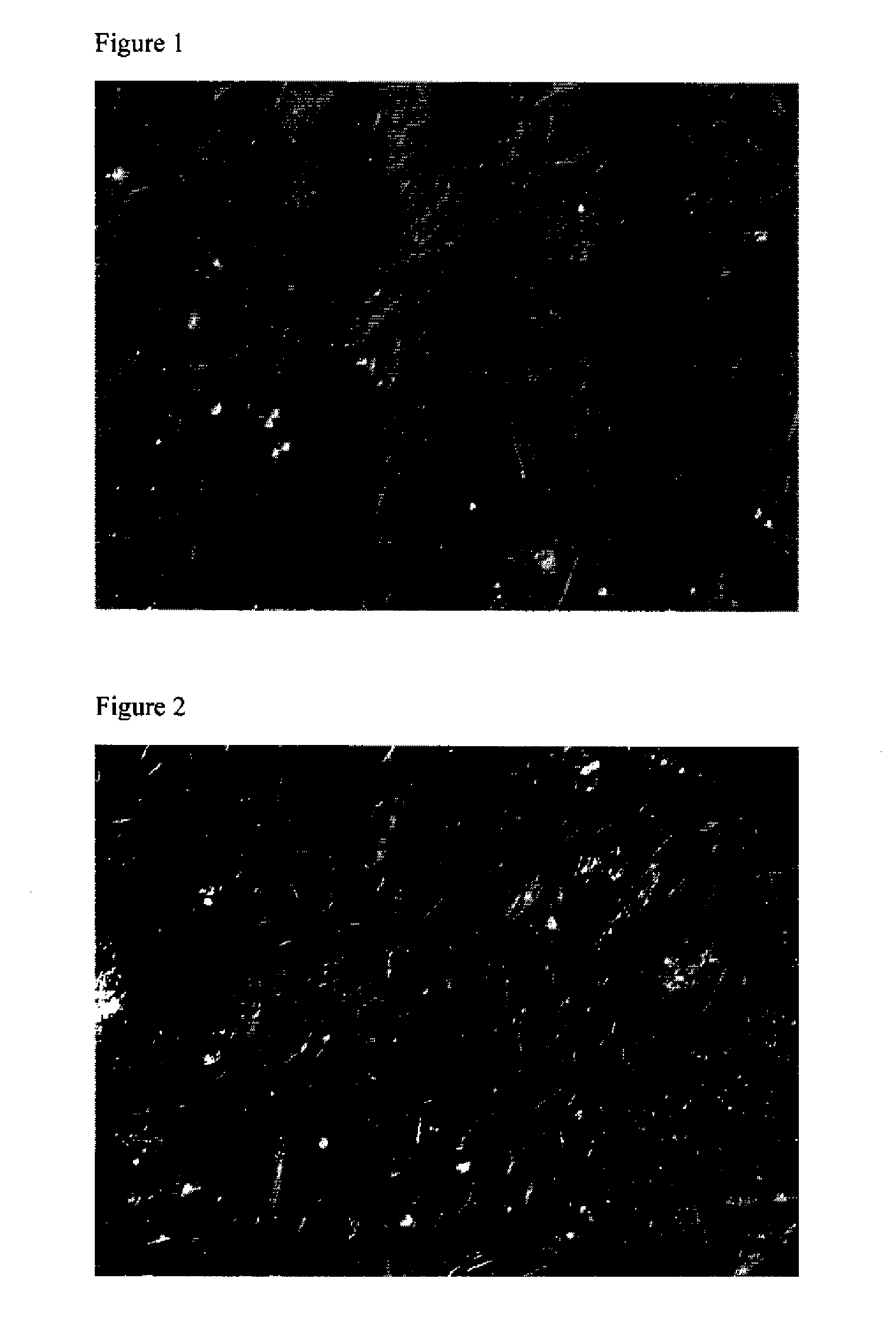 Clinic compliant method for banking human placental mesenchymal cells