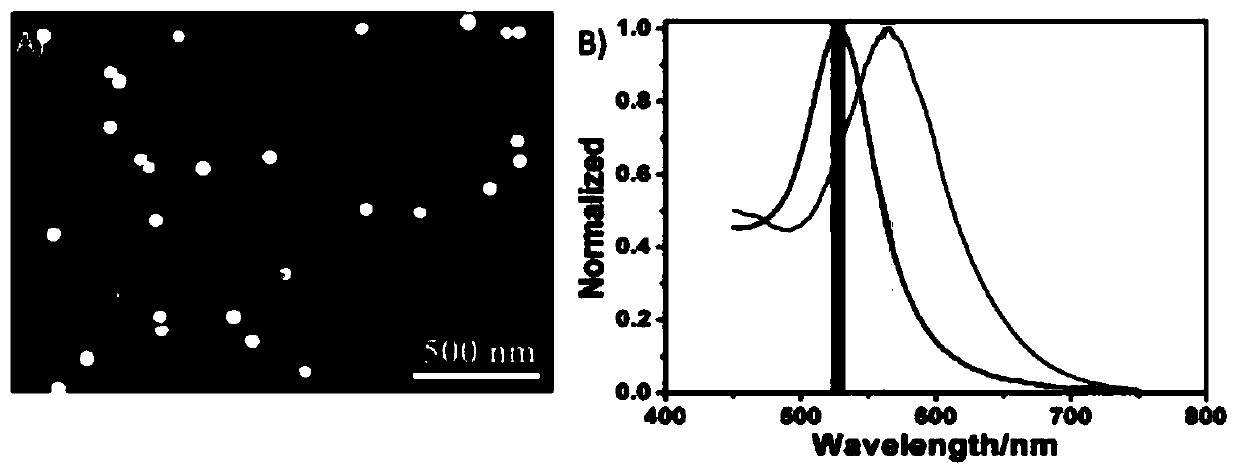 Plasma nanoparticle dark field microimaging analysis method based on HSI color coding