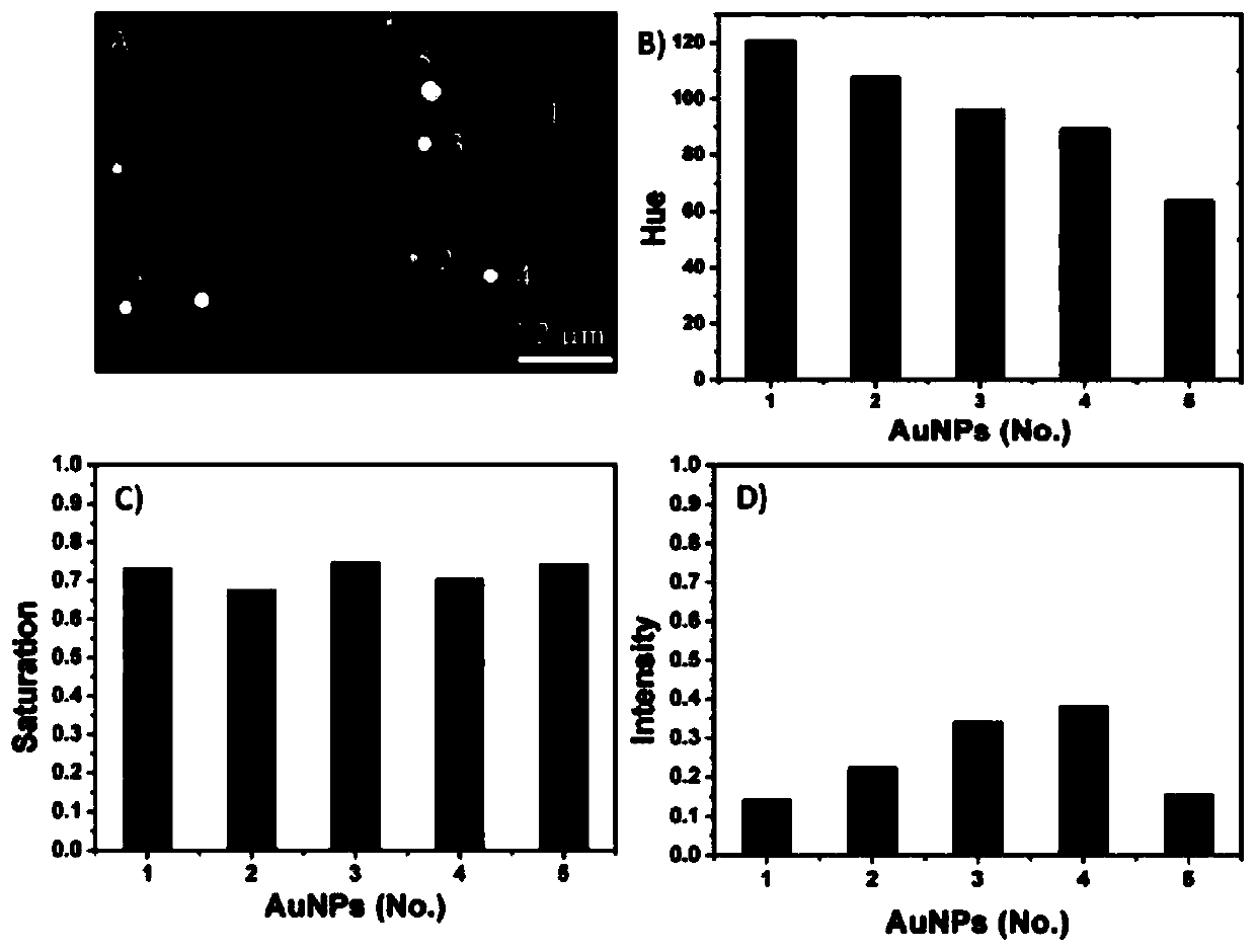 Plasma nanoparticle dark field microimaging analysis method based on HSI color coding