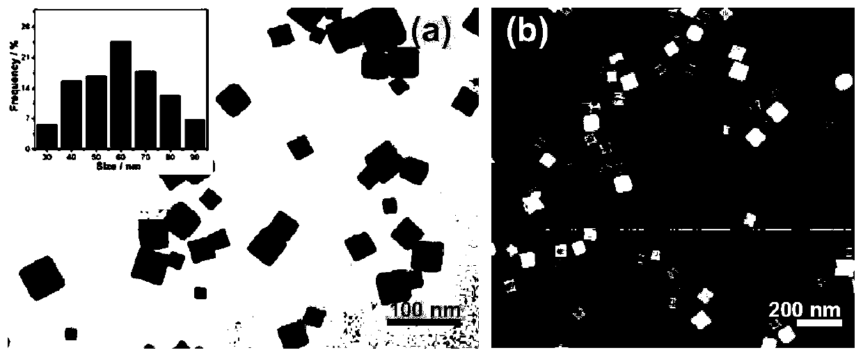 Method for improving cinnamyl alcohol production yield and selectivity