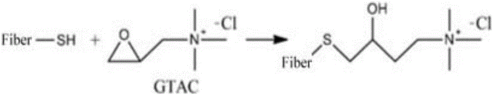 Durable cotton fabric antifungal finishing method based on click chemistry