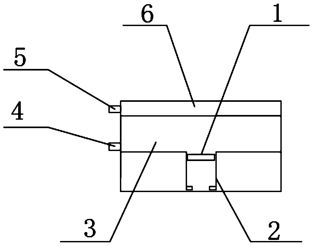 Vacuum pressure adjusting device