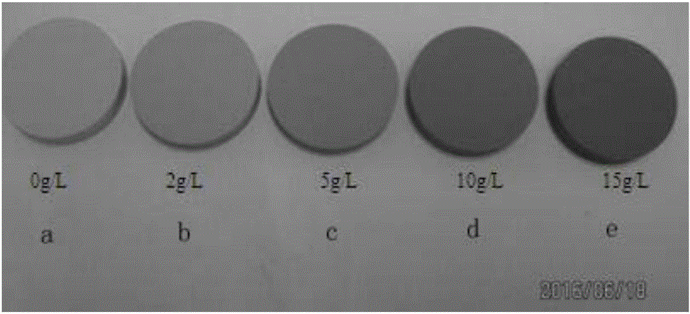 Protective and decorative yellow ceramic layer on magnesium alloy surface and preparation method thereof