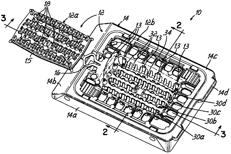 Microtome Slicing Biopsy Carrier for Oriented Tissue Samples