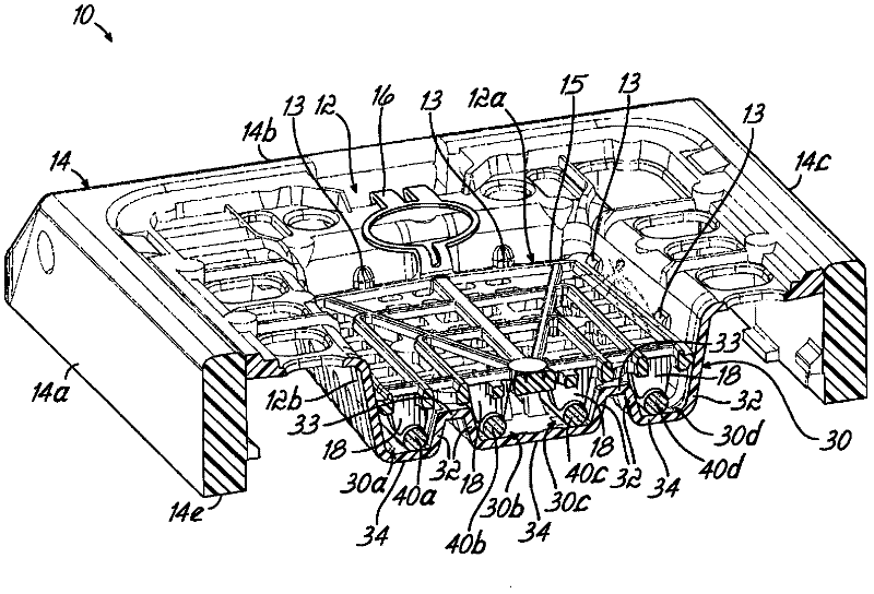 Microtome Slicing Biopsy Carrier for Oriented Tissue Samples