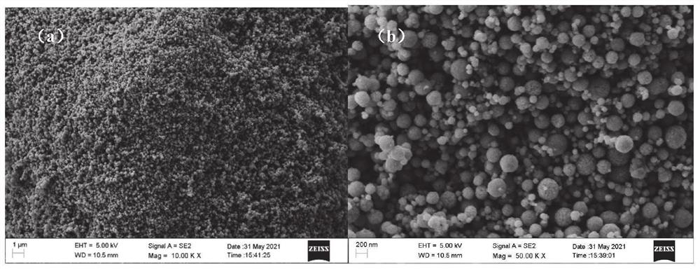 Method for preparing porous carbon coated transition metal oxide material through CTAB regulation and control and application