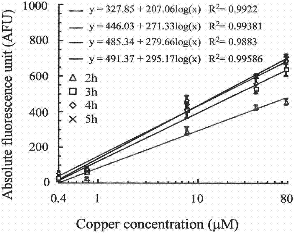 Microbiological method for detection of heavy metal copper in water body