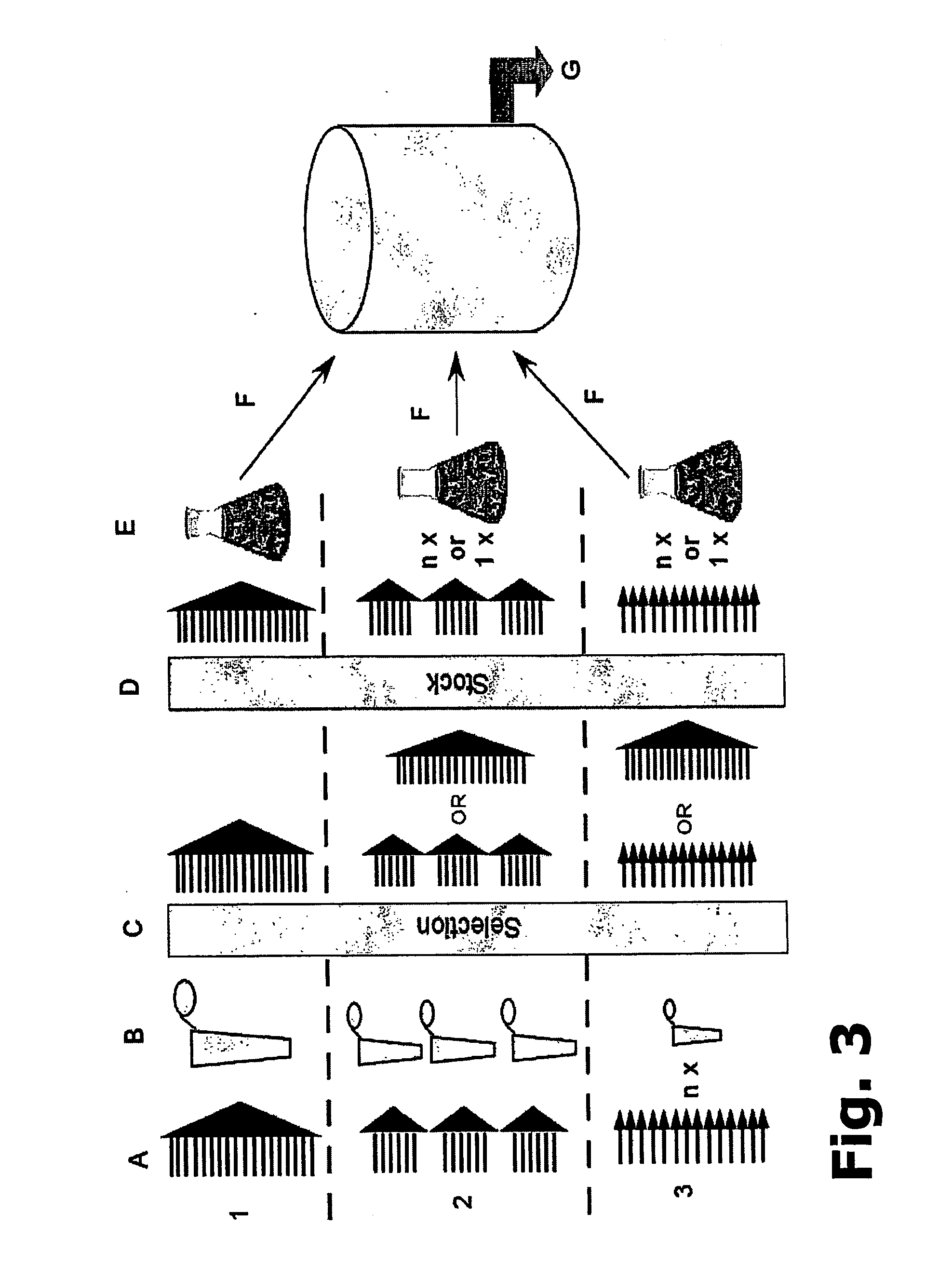 Method for manufacturing recombinant polyclonal proteins