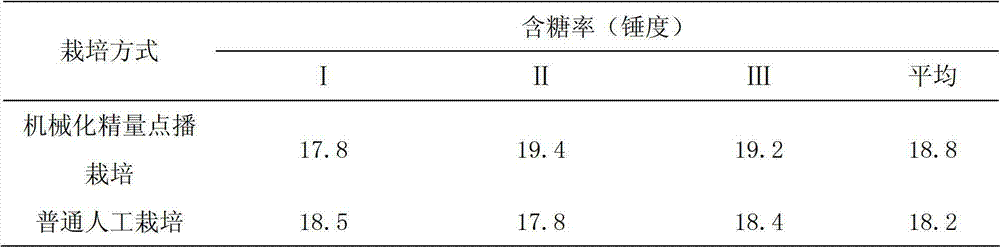 Low-cost beet mechanical precision spaced sowing cultivation method