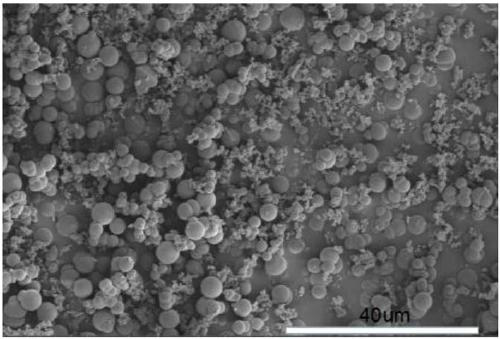 Preparation method of chitosan-based spherical negative lithium ion battery carbon electrode