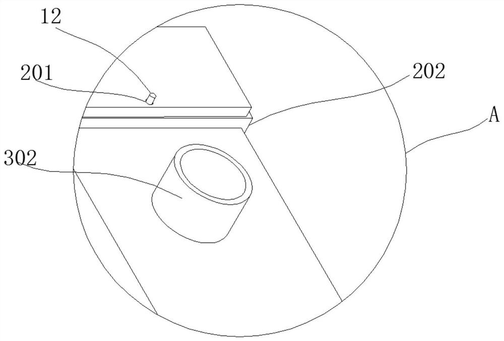 Rice screening and processing device