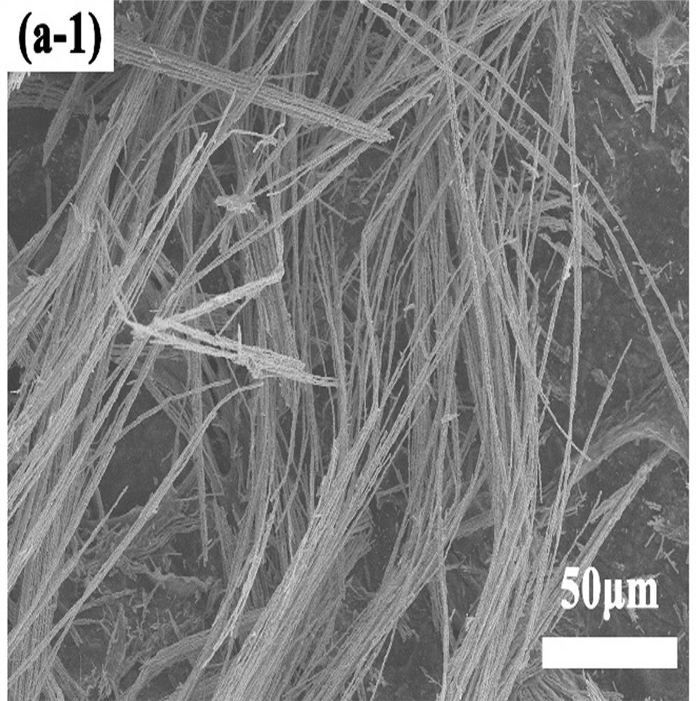 Chitin@MXene@Ni chain thin film material and preparation method and application thereof