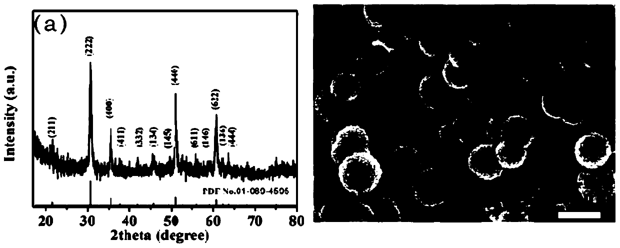 In2O3 hollow nanosphere coated by nitrogen and sulfur doped carbon layer and preparation method of the In2O3 hollow nanosphere