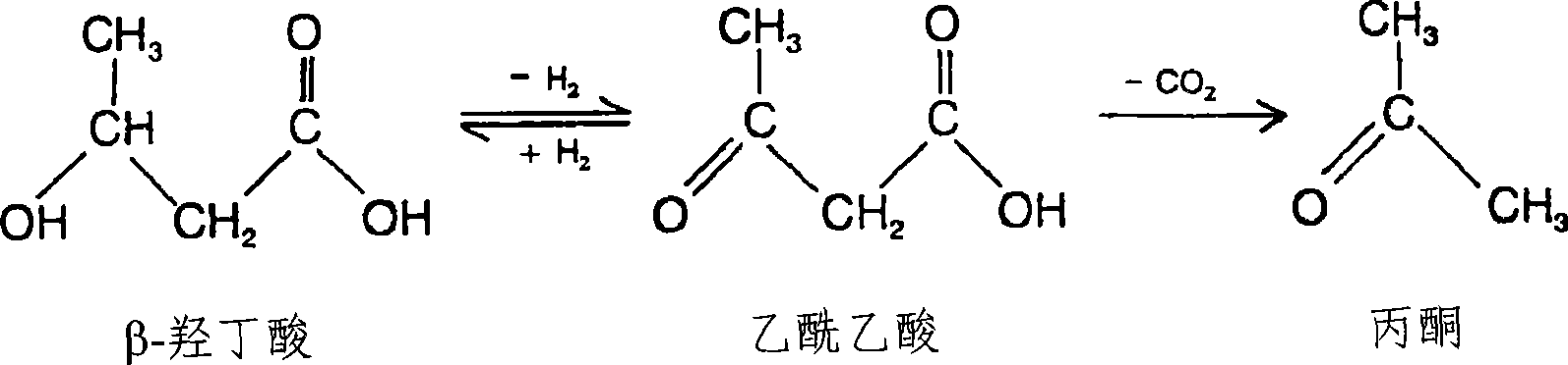 Engineering bacteria expressing coenzyme A transferase and beta-keto thiolase and use thereof