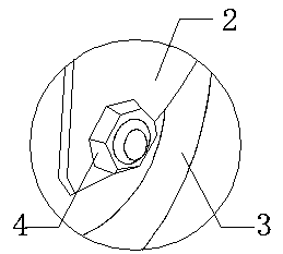 Pressing and flattening device for golden camellia compression packing