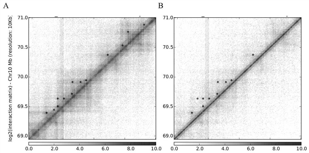 Method for analyzing and mining functional genes by combining genome three-dimensional structure difference identification and transcriptome gene expression level difference