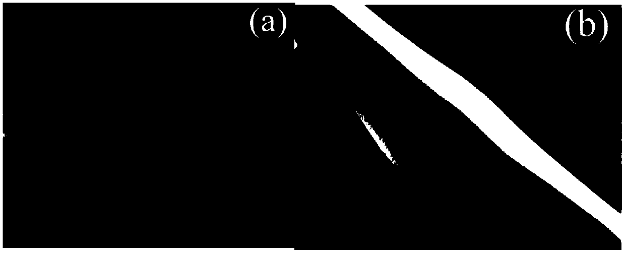 Graphene optical fiber sensor and preparation method and application thereof