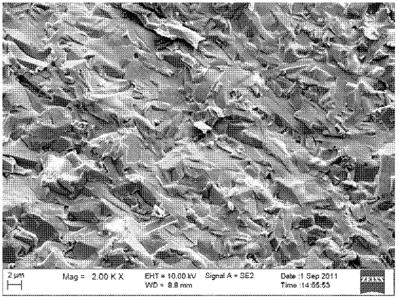 Bi Cu 1-x SeO-based oxide thermoelectric ceramic material and preparation method thereof