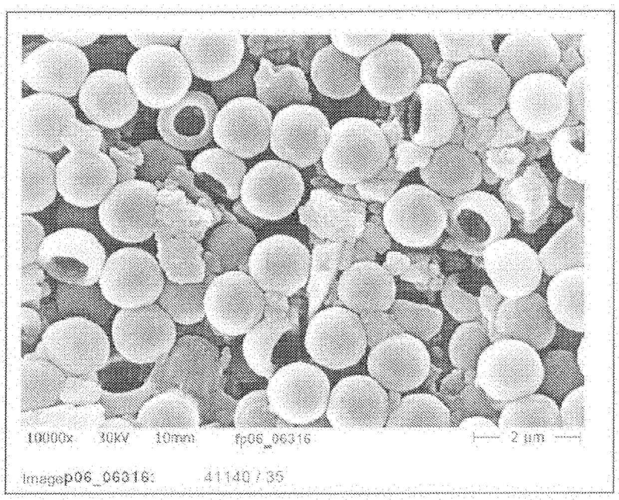 Composite of inorganic and/or organic microparticles and nano-dolomite particles