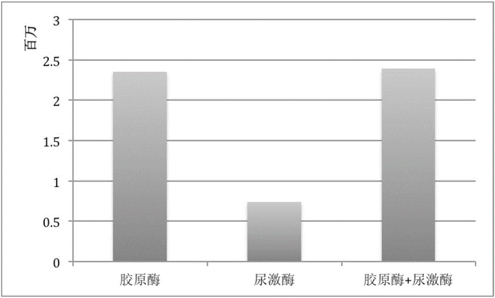 Processing method of adipose tissue, mesenchymal stem cell, single processed adipose cell, and extracellular matrix