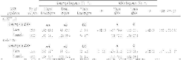 Method for determining correlation between single nucleotide polymorphisms rs4840568 and rs13277113 of Han people in Chinese Mainland and systemic lupus erythematosus (SLE)