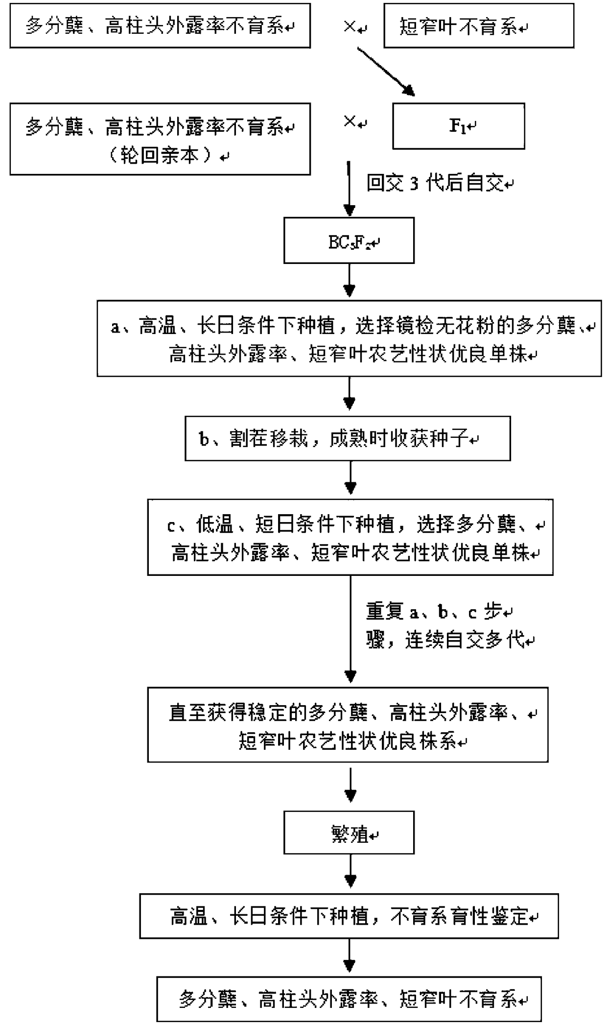 Hybrid rice breeding method