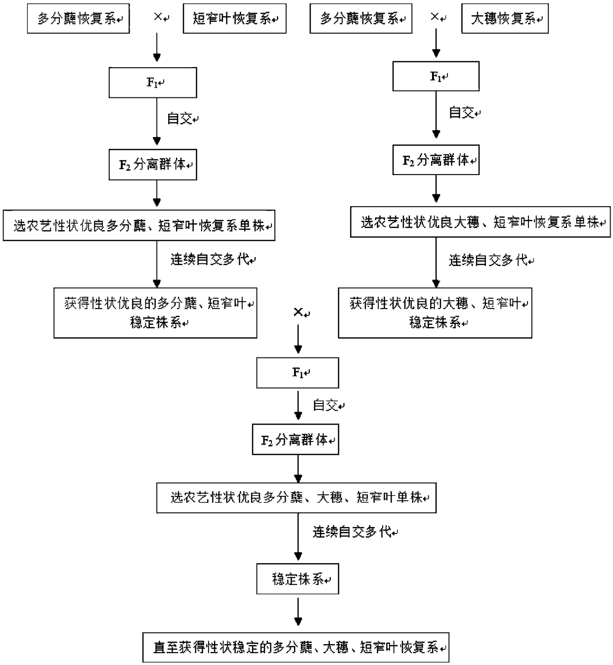 Hybrid rice breeding method