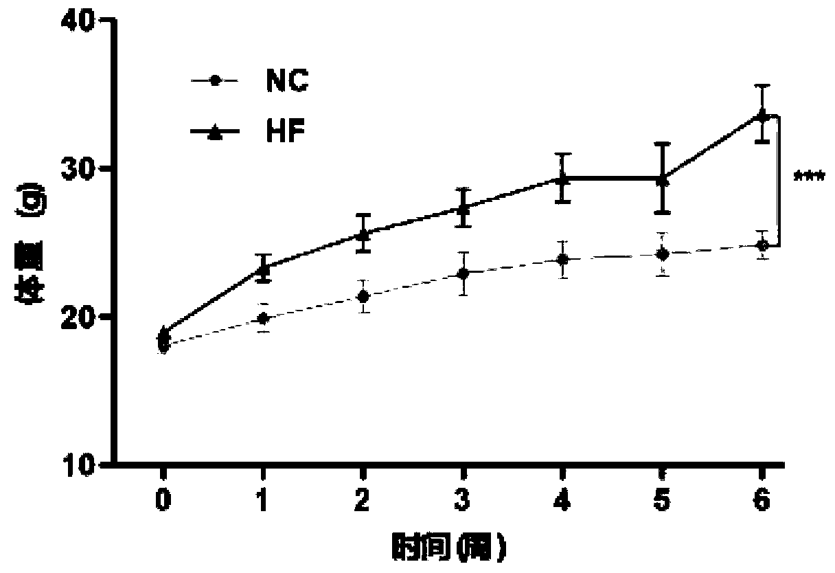 Application of hydroxysafflor yellow A in preparing medicines for treatment or assistant treatment of obesity diseases