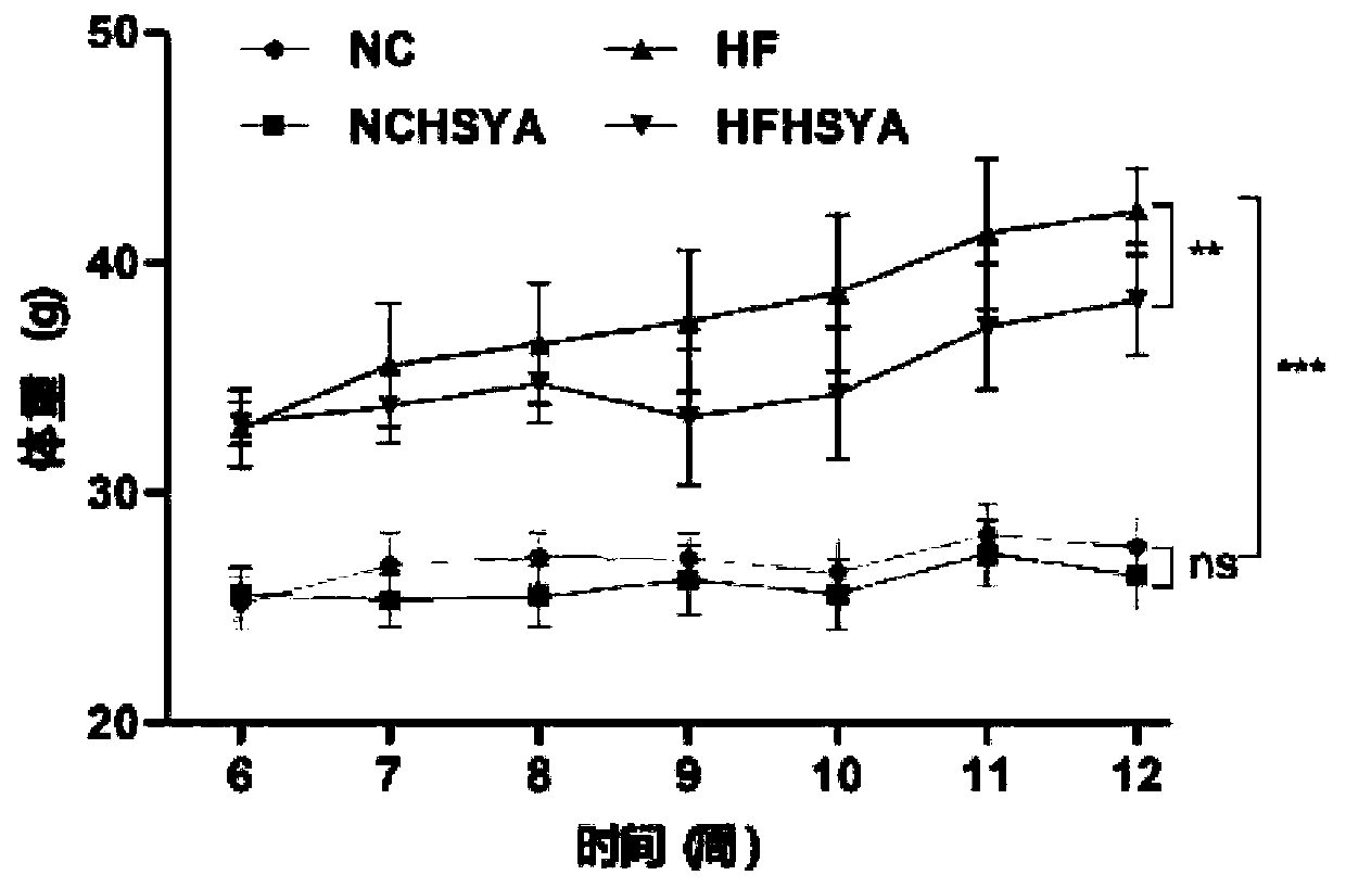 Application of hydroxysafflor yellow A in preparing medicines for treatment or assistant treatment of obesity diseases