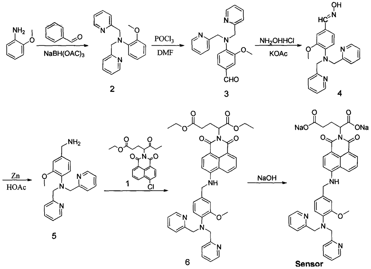 Organic compound for detecting content of metal ions in water environment and application of organic compound